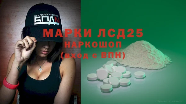 ПСИЛОЦИБИНОВЫЕ ГРИБЫ Лабытнанги