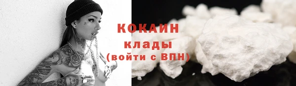ПСИЛОЦИБИНОВЫЕ ГРИБЫ Лабытнанги