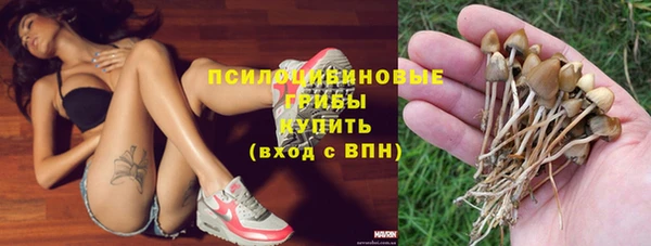 apvp Ладушкин