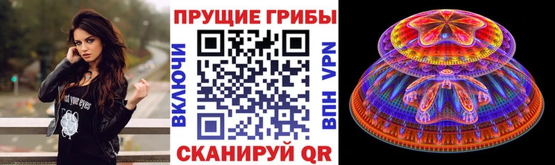 Псилоцибиновые грибы Cubensis  Купить закладки  Яхрома 